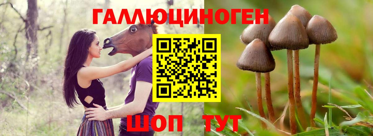 Псилоцибиновые грибы Psilocybine cubensis  Галлюциногенные грибы ЛСД  что такое наркотик  Вход с VPN  Избербаш 